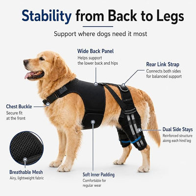 Dog Knee Brace for Back Legs (S) – Dual Hind Leg Support with Hip Harness, Adjustable Joint Stabilizer for Cruciate Ligament & Mobility Assistance, Breathable Pet Leg Wrap