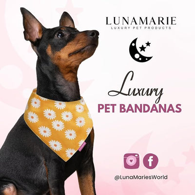 LunaMarie - Luxury Pet Birthday Bandanas -Premium & Silky Poly Fabric | 100% Handmade | Custom Shape Dual Layered (Daisies, X-Small)