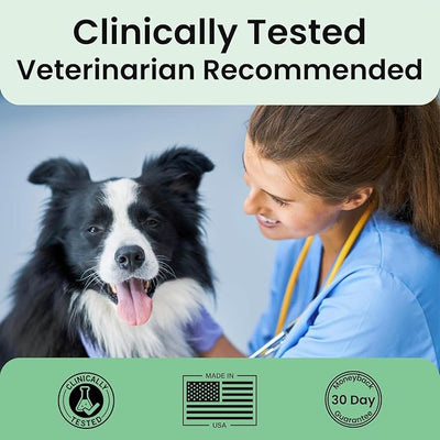 Extend Dog Hip and Joint Supplement Beef Flavored Powder Packets with Glucosamine, Chondroitin, MSM & Collagen, Hip & Joint Support, Mobility & Cartilage Health, Daily Dog Supplement, 60 Count