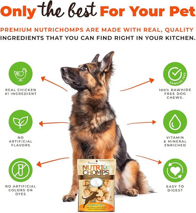 NutriChomps Dog Chews, 4-inch Knots, Easy to Digest, Rawhide-Free Dog Treats, 9 Count Real Milk flavor