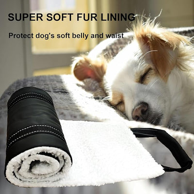 Dog Lift Harness - Cover Geny Adjustable Sling for Rear Legs with Soft Support for Senior, Injured, Disabled Dogs After ACL Surgery - Helping Pets with Canine Aid and Rehab Support (XL)