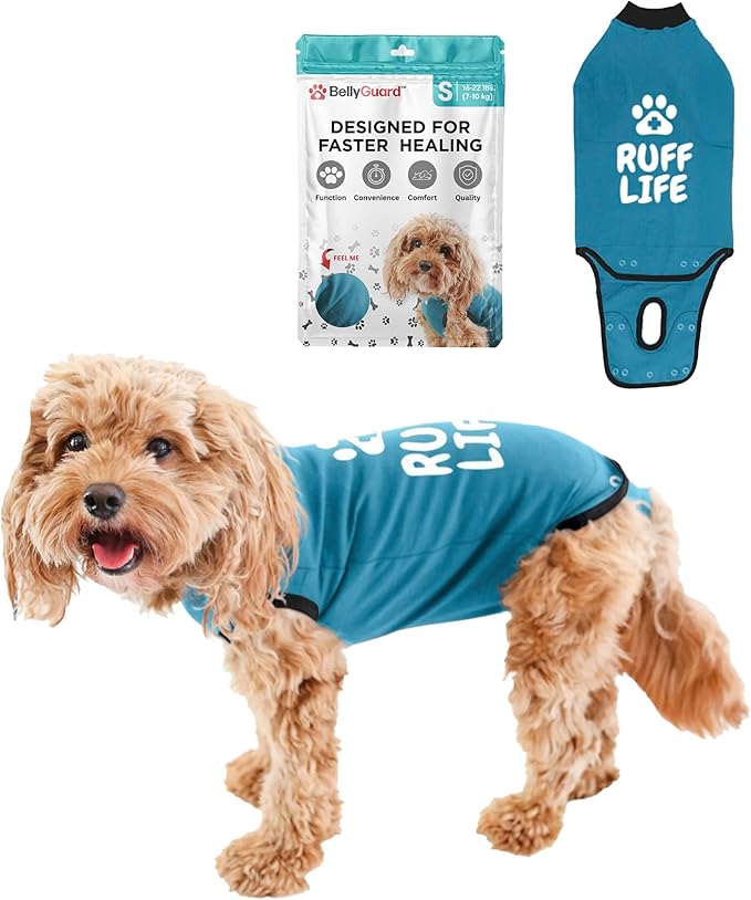 BellyGuard Dog Surgery Recovery Suit, Post-Op Dog Recovery Suit for Female Spay & Male Neuter, Comfy Onesie for Pets, Surgical Body Cover for Canine Healing Support