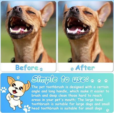 Honeydak Dog Toothbrush Bulk Dual Headed Dental Brushes Dogs Tooth Brushing Kit Long Handle Pet Tooth Brush for Puppy Large Small Cats and Most Pets Teeth Cleaning Dental Supplies(70 Pcs,White)