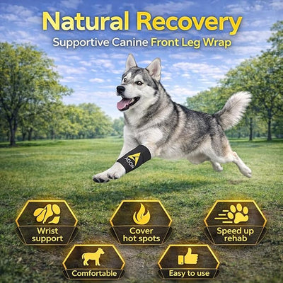 Agon® Dog Canine Front Leg Brace Paw Compression Wraps with Protects Wounds Brace Heals and Prevents Injuries and Sprains Helps with Loss of Stability Caused by Arthritis (Small/Medium)