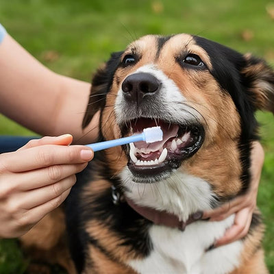 3 Pack Small Dog Cat Toothbrush, 360 Degree Soft Silicone Pet Toothbrush Cat Dental Care Dog Oral Hygiene Deep Clean Pet Teeth Cleaning Kit