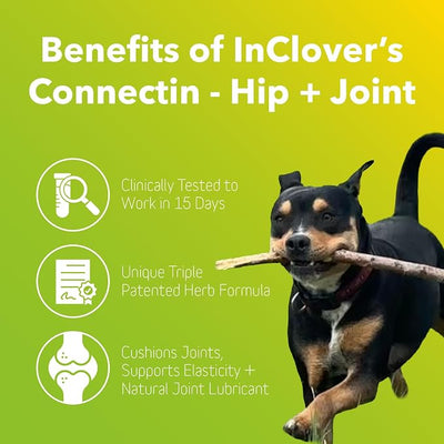 InClover Connectin Natural Hip & Joint Supplement for Dogs with Glucosamine, Chondroitin & Hyaluronic Acid - Soft Chew for Dog Mobility, Comfort & Active Lifestyle Support, 20 Count