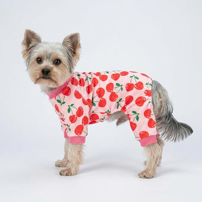 Fitwarm Cute Cherry Dog Pajamas, Warm Dog Onesie with Feet, Dog Clothes for Small Dogs Girl, Fleece Pet Outfit, Pink, Red, Small
