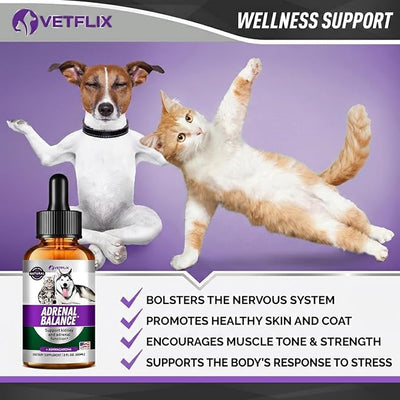 Adrenal Support Liquid Supplement for Dogs, Cats, Puppies & Kittens, 2 Oz | Cushing's and Kidney Support, Natural Endocrine Health Formula