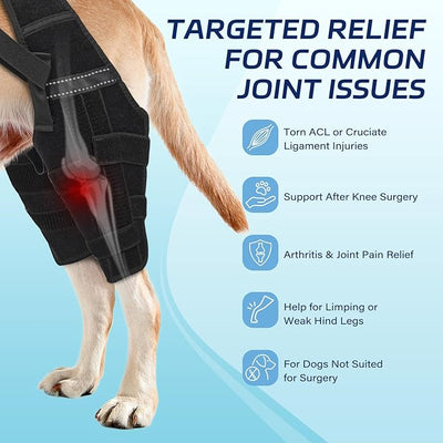 Dog Knee Brace for Torn ACL Hind Leg– Dog Leg Brace with Metal Stabilizers for Dogs with Torn ACL, Luxating Patella, Ligament Injuries & Hip Dysplasia, Limping or Osteoarthritis Recovery, XL