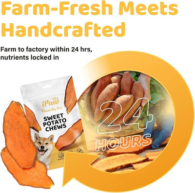 iPaw Sweet Potato Chews for Dogs, Single Ingredient Dog Treats for Vegetarian, All Natural Human Grade Puppy Chew, Rawhide Alternative, Hypoallergenic, Easy to Digest, 3 Packs