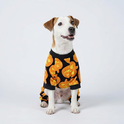 Fitwarm Halloween Pumpkin Dog Pajamas, Funny Dog Winter Clothes for Small Dogs Girl Boy, Pet Jumpsuit, Cat Halloween Costumes with Feet, Lightweight Velvet, Black, Orange, Medium