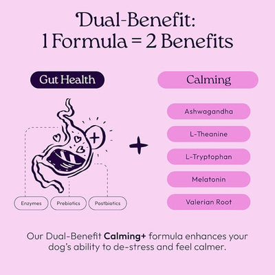 New! WellJoy Dog Supplement Calming+ GutBoost | Dog Health Supplement | Promotes Relaxation & Calmness | Dual-Benefit GutBoost Formulation | Vet Formulated | USA Made | Chicken Flavor | 90 Soft Chews
