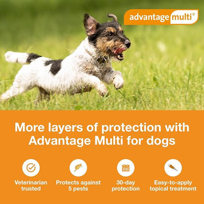 Advantage Multi Topical Solution for Dogs 6 Doses, 9.1-20 lbs (Teal)