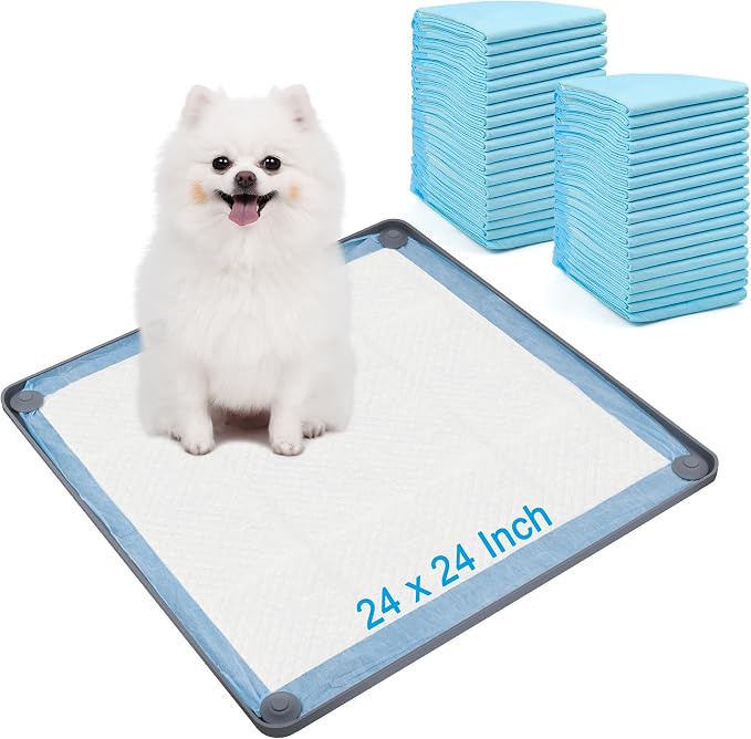 Catcan Dog Pee Pad Holder Starter Kit, Includes 1 Non-Slip Tray and 40 Disposable Training Pads, Housebreaking Essentials for Puppies (24 x 24In)