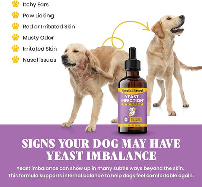 Natural Yeast Infection Relief for Dogs – Itchy Skin & Ear Treatment, Supports Allergy & Immune Health, Reduces Itching, Irritation & Inflammation, Liquid Drops, 8oz