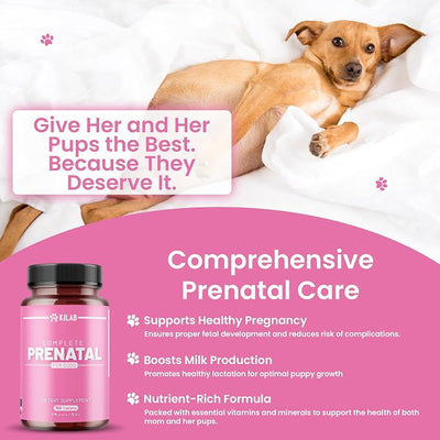 Kilab Complete Prenatal Vitamins for Dogs –150 Tablets with Iron, Choline, Zinc, DHA & Probiotics - Supports Healthy Development & Wellness for Pregnant, Nursing, & Weaning Females