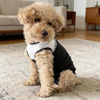 Dog Surgical Suit - Recovery Onesie for Dogs After Surgery, Spayed Female/Male Puppy, Breathable Anti-Lick Clothes, Alternative to Cone(Black and White-XXS)