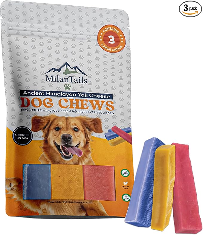Premium Natural Fruit-Flavored Himalayan Yak Chew Treats for Dogs - 300g, All-Natural, Long-Lasting, Authentic Yak Milk, Healthy Dental Chew, High-Protein (Large, Assorted)