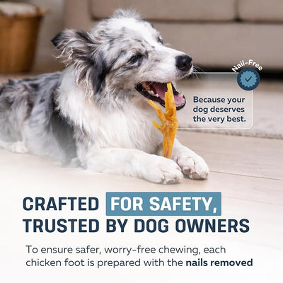 Big Lu – Nail-Free Chicken Feet Dog Chews, (30-Pack) | 100% Natural Single-Ingredient Treats, Rawhide-Free, Long-Lasting, Rich in Glucosamine and Chondroitin for Joint Health
