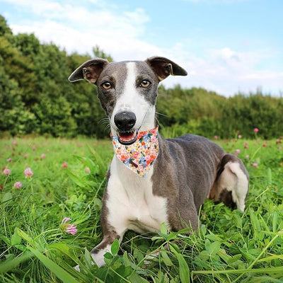 Unique Style Paws Dog Bandanas 1PC Washable Cotton Triangle Dog Scarfs Spring Summer with Colorful Flower for Small Medium Large Dogs and Cats