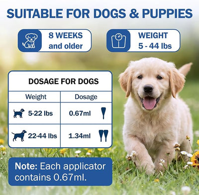 Flea and Tick Prevention for Dogs, Flea & Tick Control, Flea Drops for Small and Medium Dog (5-44 Ibs), Support for Skin & Coat Health, Fast Acting, for Dogs and Puppies 8 Weeks and Older Supplement