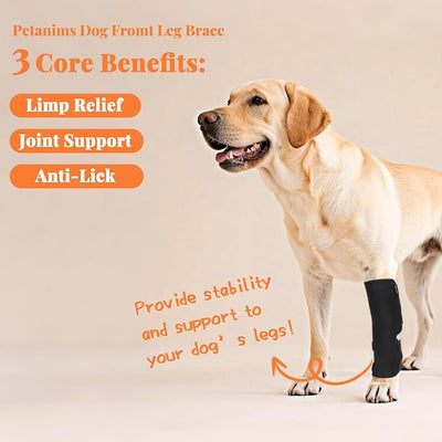 Petanims 2 Packs Dog Front Leg Brace for Remission Hyperextension - Wrist Support for Sprain, Arthritis & Injury Recovery - Adjustable Non-Slip Dog Leg Wrap, Fits Left or Right, Large