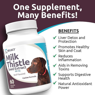 Milk Thistle Dog Liver Supplement 100mg | Liver Support & Detox for Dogs | 60 Beef Flavored Tablets | Canine Liver Health Formula | Natural Milk Thistle for Dogs Liver Support