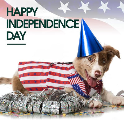 Kuoser Independence Day Dog Tuxedo Dog Suit and Bandana Set, 4Th of July Dog Costume American Flag Dog Outfit with Bow Tie for Large Medium Small Dogs Golden Retriever Samo Bulldogs, M
