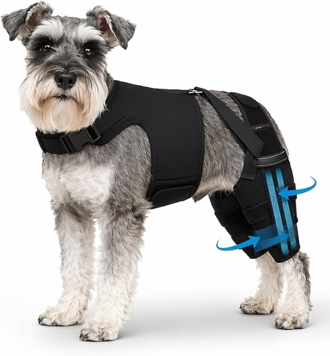 Dog Knee Brace for Back Legs (S) – Dual Hind Leg Support with Hip Harness, Adjustable Joint Stabilizer for Cruciate Ligament & Mobility Assistance, Breathable Pet Leg Wrap