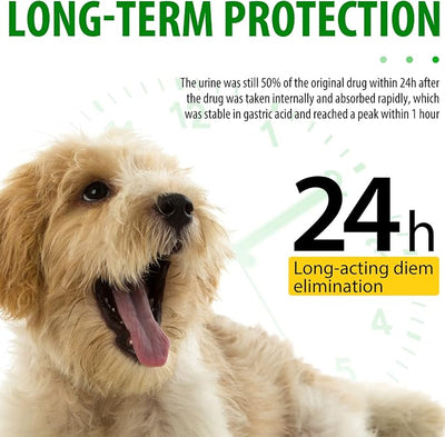Antibiotics for Dogs, Natural Dog Antibiotics Supports Dog Allergy and Itch Relief, Dog Supplies Antibiotics, Dog Multivitamin for Pets, Bacon Flavor - 60ml / 2.02oz