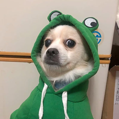 Dog Hoodie Basic Sweater Coat Cute - Frog Shape Warm Jacket Pet Cold Weather Clothes Outfit Outerwear for Cats Puppy Small Medium Dogs