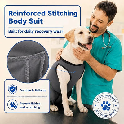 Soft Stretchy Dog Surgery Recovery Suit with Rear Leg Sleeve to Stop Licking, Comfortable Recovery Suit for Dogs Female Spay, Post Body Suits After Surgery, Full Belly Cover for Spayed Dog, Gray S