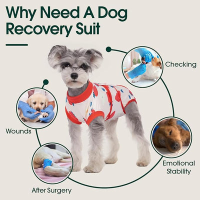 Kuoser Dog Recovery Suit for Surgery, Soft Dog Surgery Suit Female Male Spay Neuter, Anti-Licking Pet Onesie for Abdominal Wounds, Skin Disease, Doggy Cone Alternative Surgical Recovery Bodysuit, M