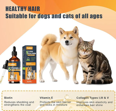 Premium Collagen for Dogs & Cats– 5 Types of Grass-Fed Collagen，Support for Skin & Coat，with MSM, Biotin & Hyaluronic Acid | 120ml/4.06 floz(02)