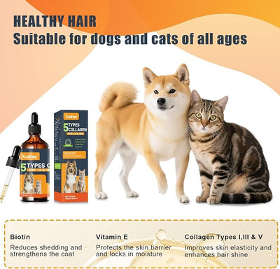 Premium Collagen for Dogs & Cats– 5 Types of Grass-Fed Collagen，Support for Skin & Coat，with MSM, Biotin & Hyaluronic Acid | 120ml/4.06 floz(01)