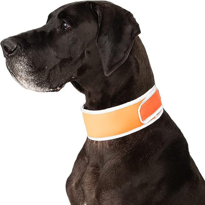CoolerDog Hi-Vis Cooling Dog Collar for X-Large Dogs – Reflective Re-Freezable Ice Collar for Hot Weather & Heat Relief (Orange, X-Large)