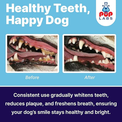 Pup Labs ProDenta, Dog Teeth Cleaning and Dog Breath Freshener, Natural Powder for Plaque, Tartar, and Gum Support Made in USA, 3-Pack (90 Scoops)
