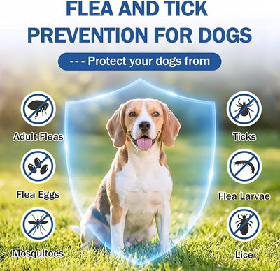 Flea and Tick Prevention for Dogs, Flea & Tick Control, Flea Drops for Small and Medium Dog (5-44 Ibs), Support for Skin & Coat Health, Fast Acting, for Dogs and Puppies 8 Weeks and Older Supplement