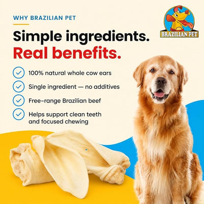 Brazilian Pet 100% Natural Real Cow Ears (50 Pack) Prime Dog Chews, Over 5 inches Free Range Grass Fed Cattle, No additives, Chemicals or Hormones