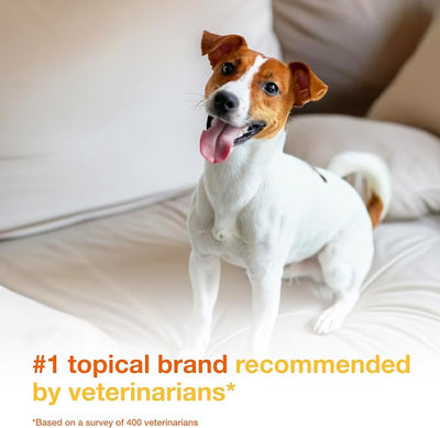 Douxo S3 PYO Pads, 3% Chlorhexidine Wipes for Dogs and Cats, Antiseptic Dog Wipes For Bacterial or Yeast Skin Infections, 0.5% Ophytrium Clinically Proven, 30 Pads