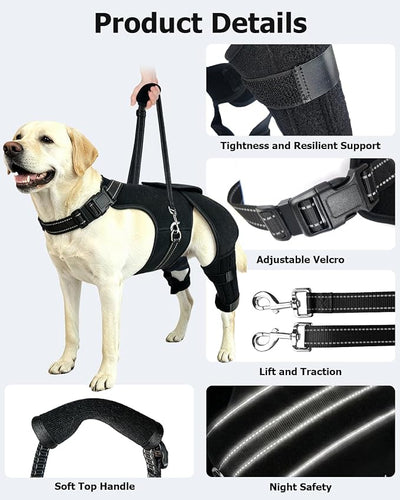 2-in-1 Dog Knee Brace and Lift Harness, Adjustable Back Leg Support with Stabilizers for ACL Recovery & Joint Care, Dog Sling for Hind Legs, Mobility Aid for Elderly Dogs with Luxating Patella (M)