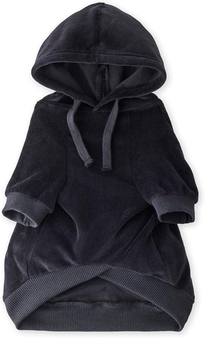 Pet Passion Cooper II Organic Cotton Velour Dog Hoodie Pet Coat for Small, Medium and Large Dogs, Black, XX-Large (70-110 lbs)