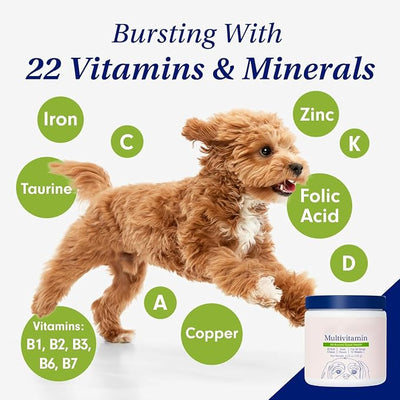 Dog Probiotics - Pet Digestive and Immune Supplement - Suitable for All Dog Breeds - Salmon Favor - 4.32 Ounces - 30 Tablets
