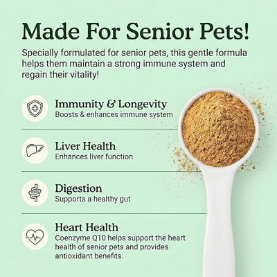 Organic Turkey Tail Mushroom Supplement for Senior Dogs & Cats – 10-in-1 Functional Mushroom Powder with CoQ10 for Immune Support, Digestive Health – Chicken Flavor, Scoop Included