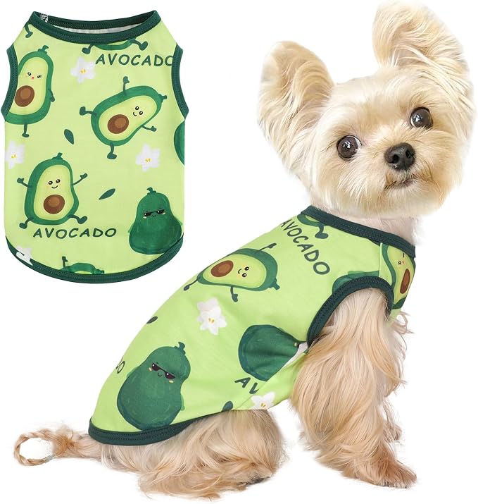 Dog Shirt Vest Dog Clothes for Small Dogs Boy Girl Stretchy Summer Puppy T-Shirts Soft Breathable Lightweight Puppy Sweatshirt Pet Cat Outfit (Avocado, Small)