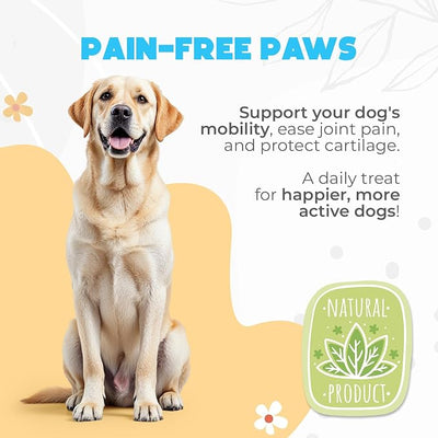 Glucosamine HCL & Hip and Joint Chews for Dogs - 150 pcs - Advanced Hip and Joint Support for Senior Dogs - with MSM & Green Lipped Mussel - Chicken