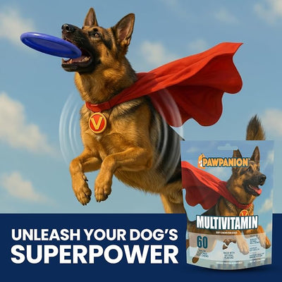 Multivitamin Soft Chews for Dogs Full Body Support 60 Count
