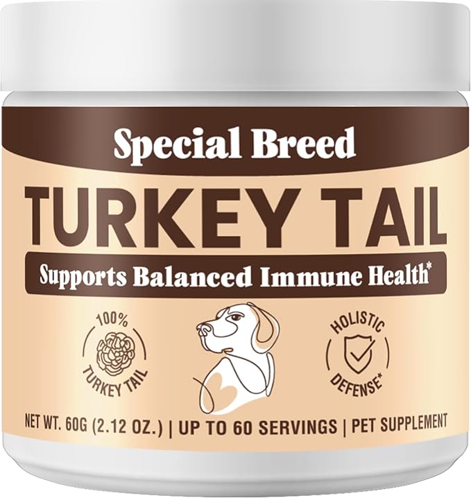 Organic Turkey Tail Mushroom for Dogs and Cats, Immune Support with Beta Glucans and Polysaccharides, Digestive and Respiratory Health, Pure Mushroom Powder, No Fillers, 60 ct