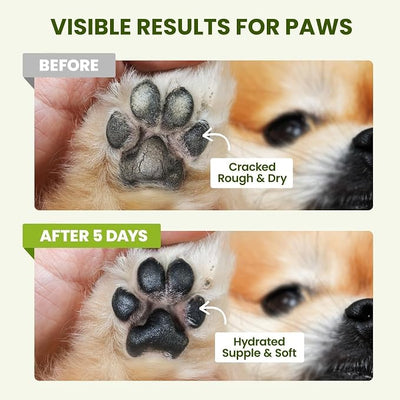 PawSono Lick-Safe Dog Paw & Nose Balm with Coconut Oil | All-Natural Moisturizer & Soother for Dry, Cracked Pads & Snout | Summer Hot Pavement & Sand Paw Wax, Nose Butter for Bulldogs(2.1oz *2)