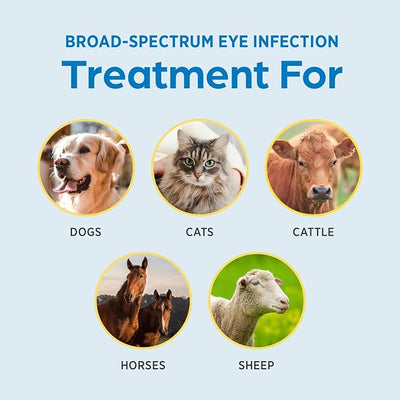 Terramycin (oxytetracycline hydrochloride and polymyxin B sulfate ophthalmic ointment) for Dogs & Cats, 1/8 oz